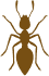 Knockdown Pest Control Sydney