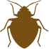 Knockdown Pest Control Sydney
