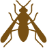 Knockdown Pest Control Sydney