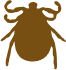 Knockdown Pest Control Sydney