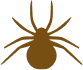 Knockdown Pest Control Sydney