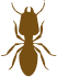 Knockdown Pest Control Sydney